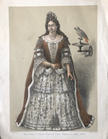 GD Rowley - Duchess of Richmond by JG Keulemans 1877