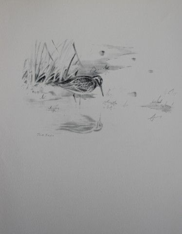 Philip Rickman - Print of pencil drawings of Jack Snipe 1938