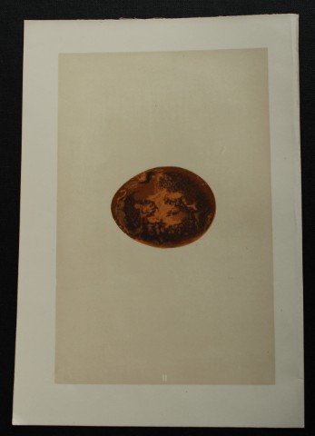 Rev FO Morris - Antique print of Eggs of the Egyptian Vulture 1875