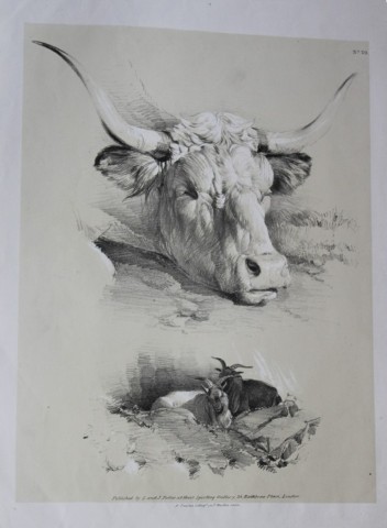 Thomas Sidney Cooper - Lithograph of cattle 1837