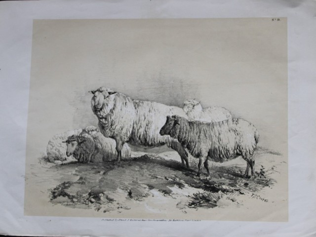 Thomas Sidney Cooper - Lithograph of sheep 1837