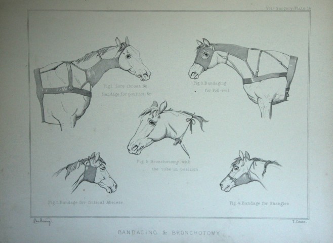 Benjamin Herring - Lithograph of  Bandaging and Bronchotomy 1895