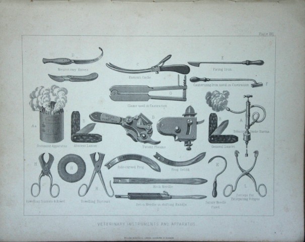 Benjamin Herring - Lithograph of Veterinary Instruments 1895