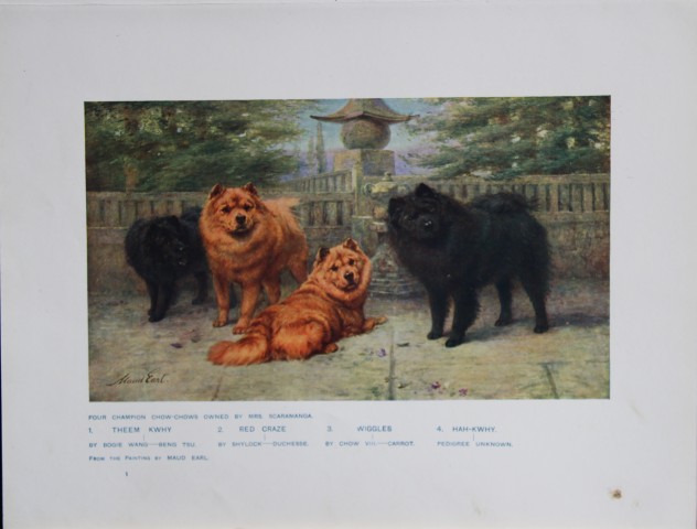 Chromolithograph of Chows after Maud Earl 1907