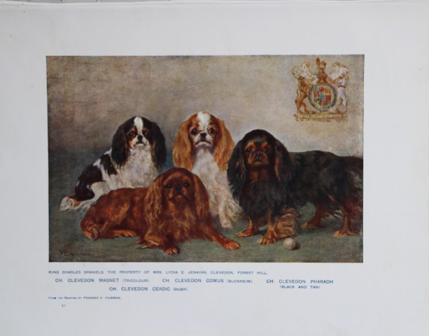 Chromolithograph of King Charles Spaniels after Frances Fairman 1907