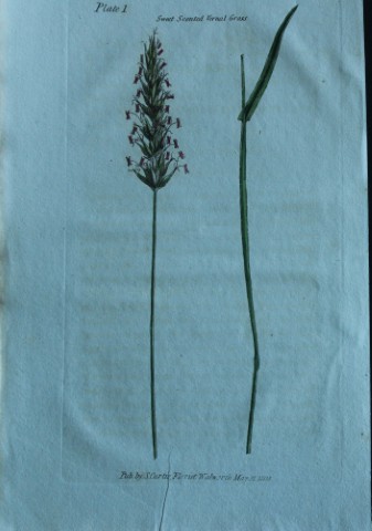 British Grasses by William Curtis 1824