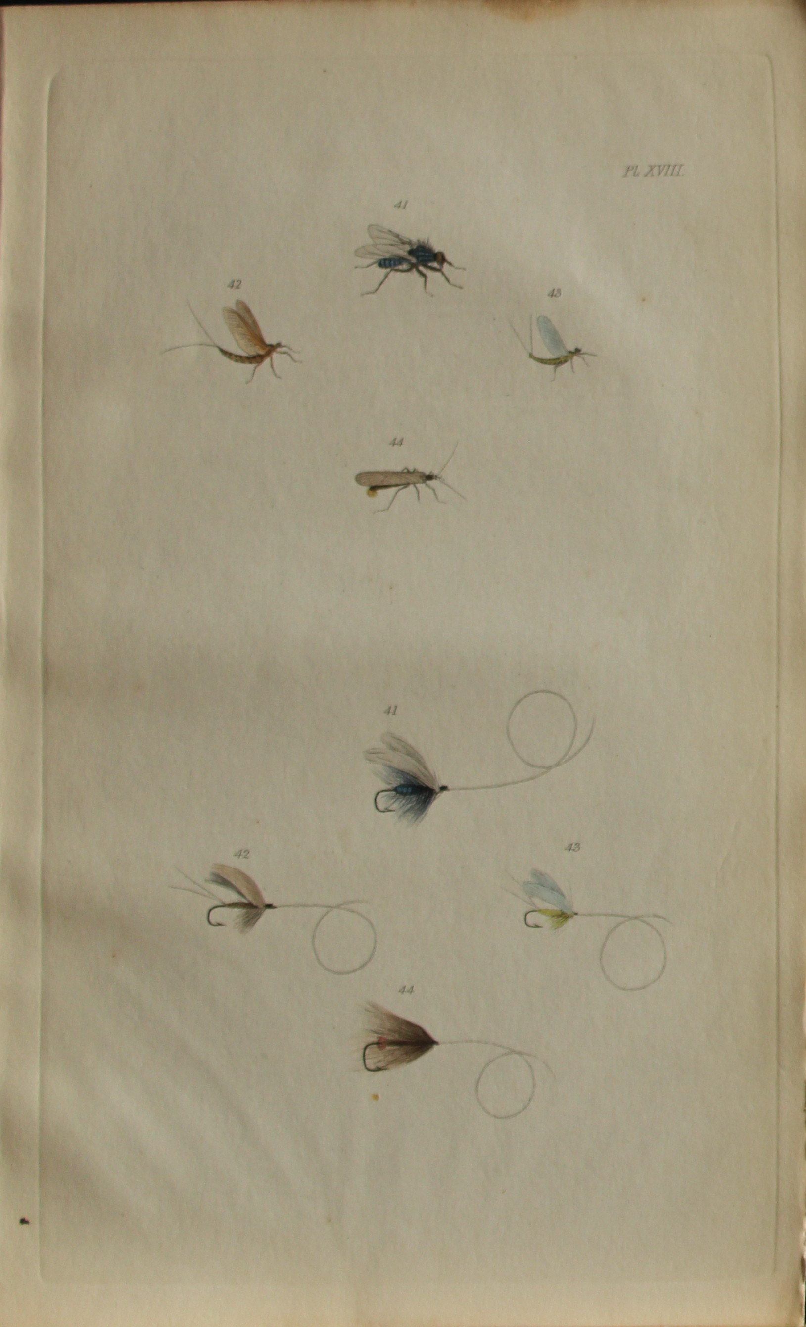 Alfred Ronald - Fly fishing engraving 1868