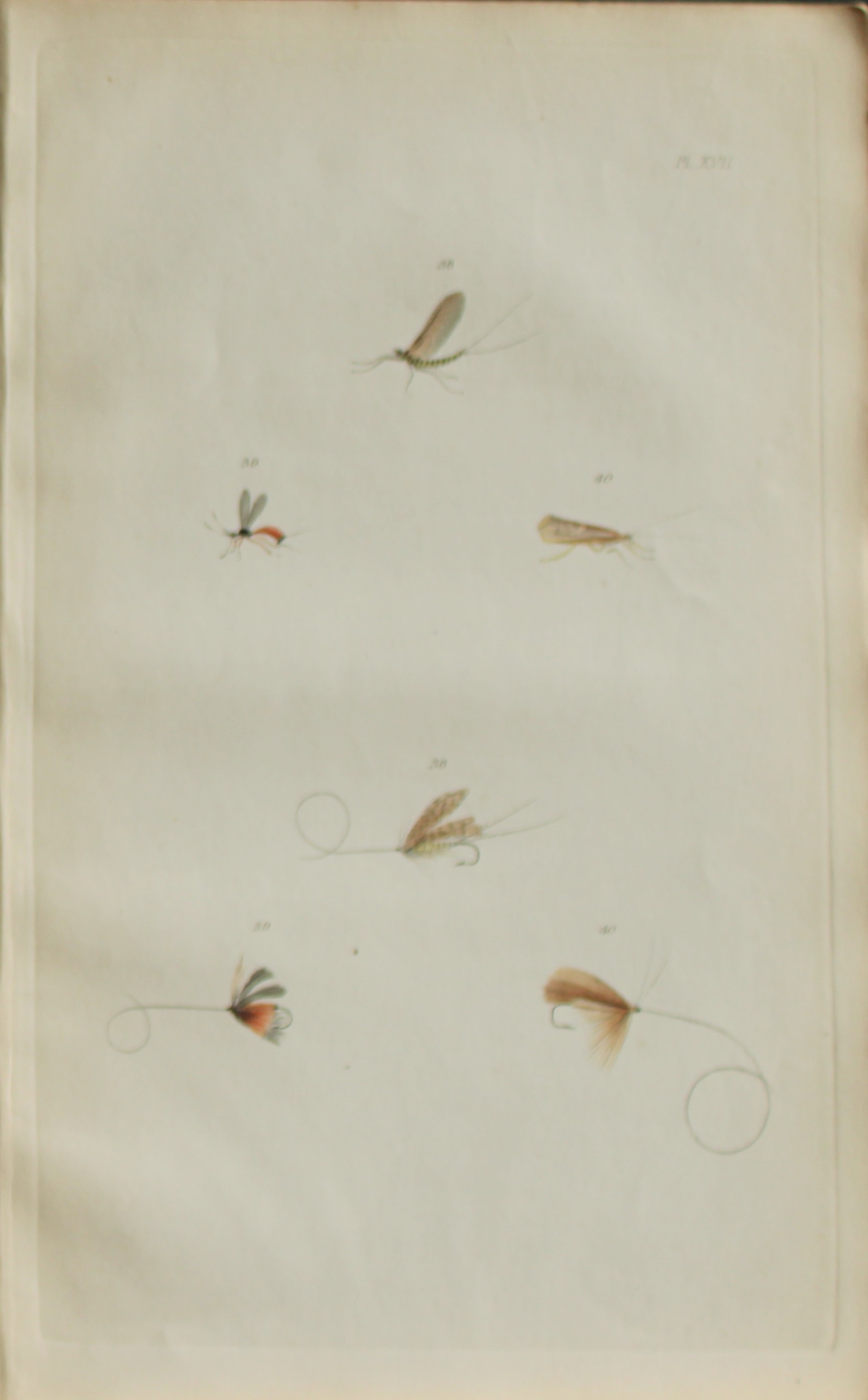 Alfred Ronald - Fly fishing engraving 1868