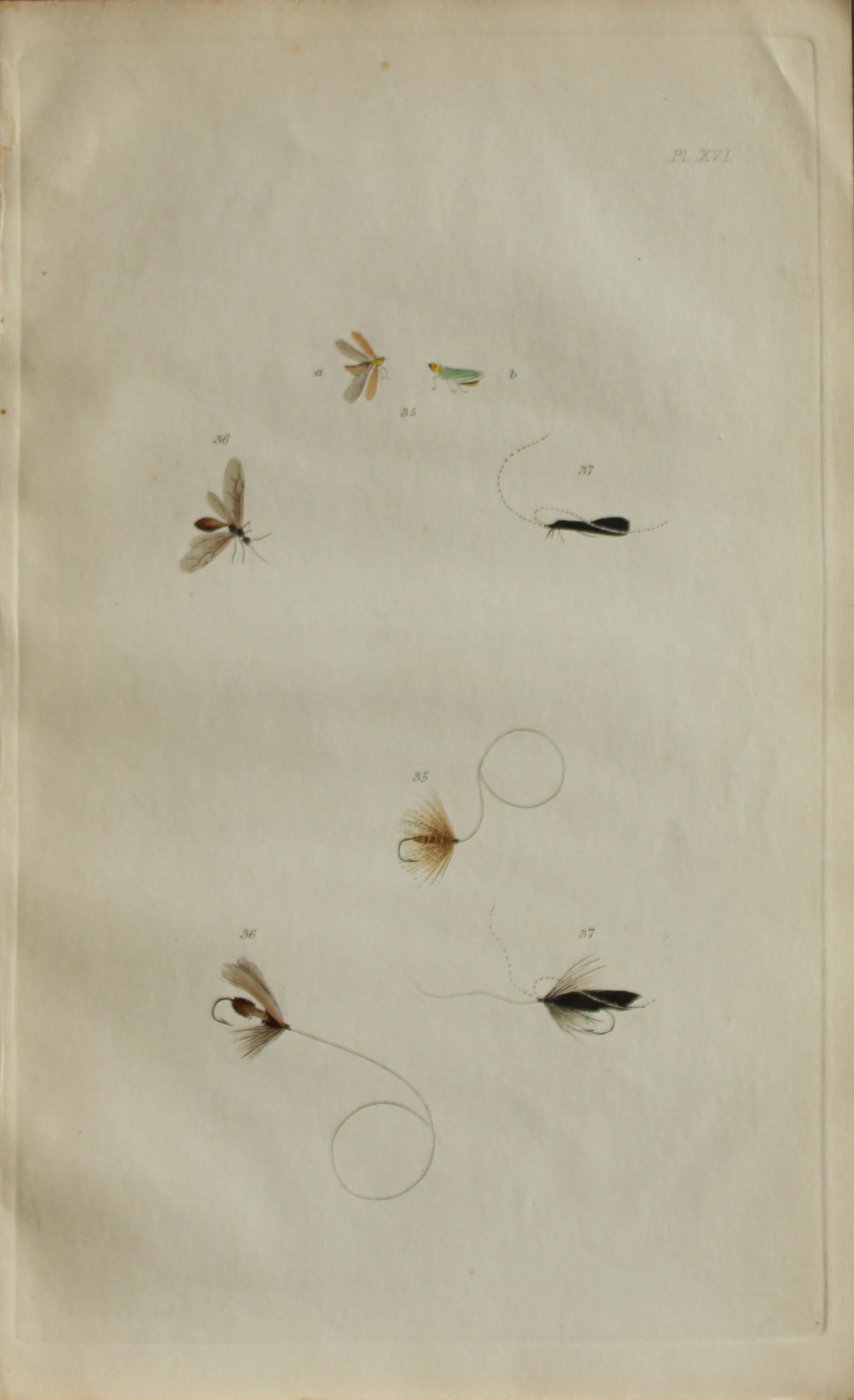 Alfred Ronald - Fly fishing engraving 1868