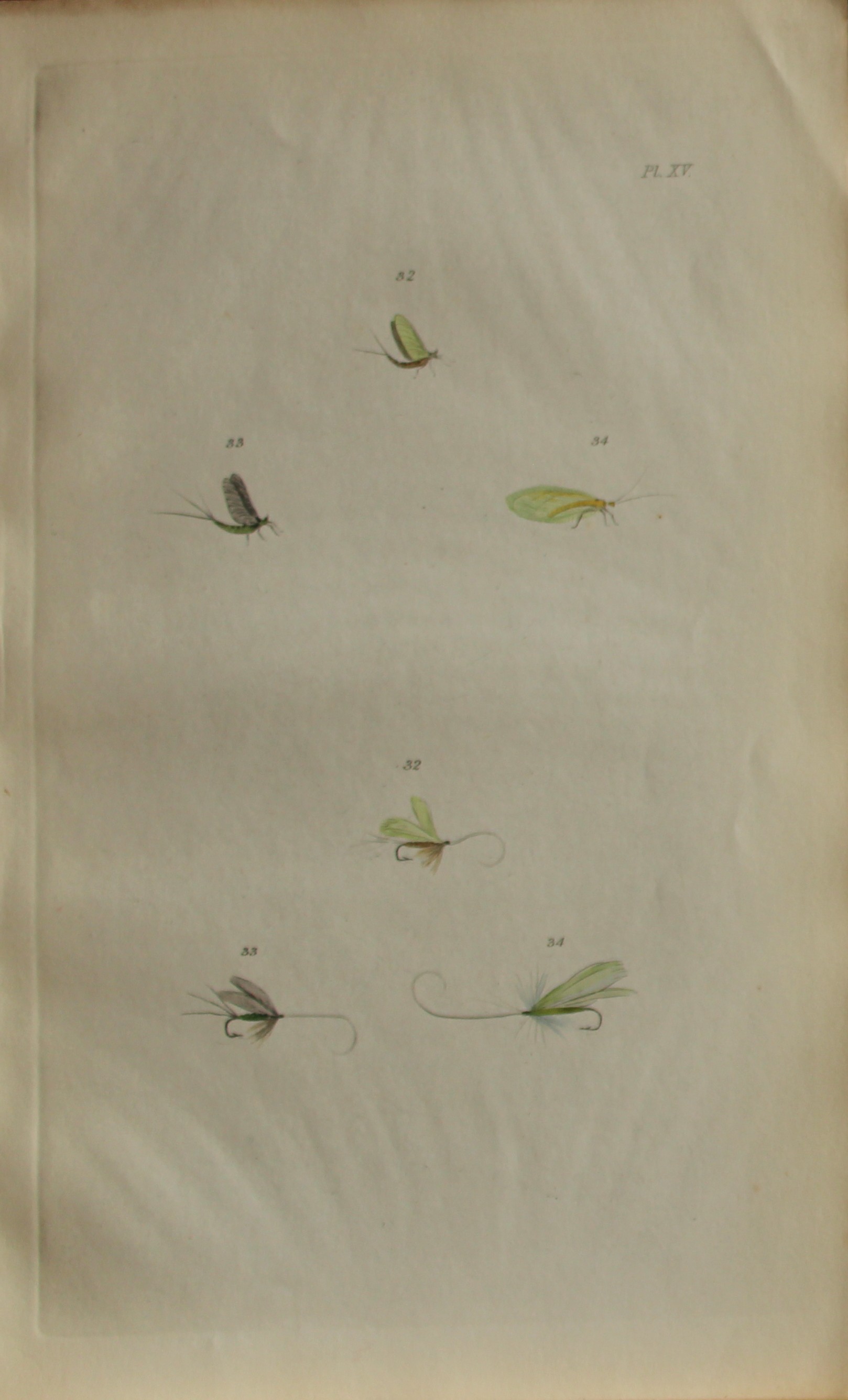 Alfred Ronald - Fly fishing engraving 1868