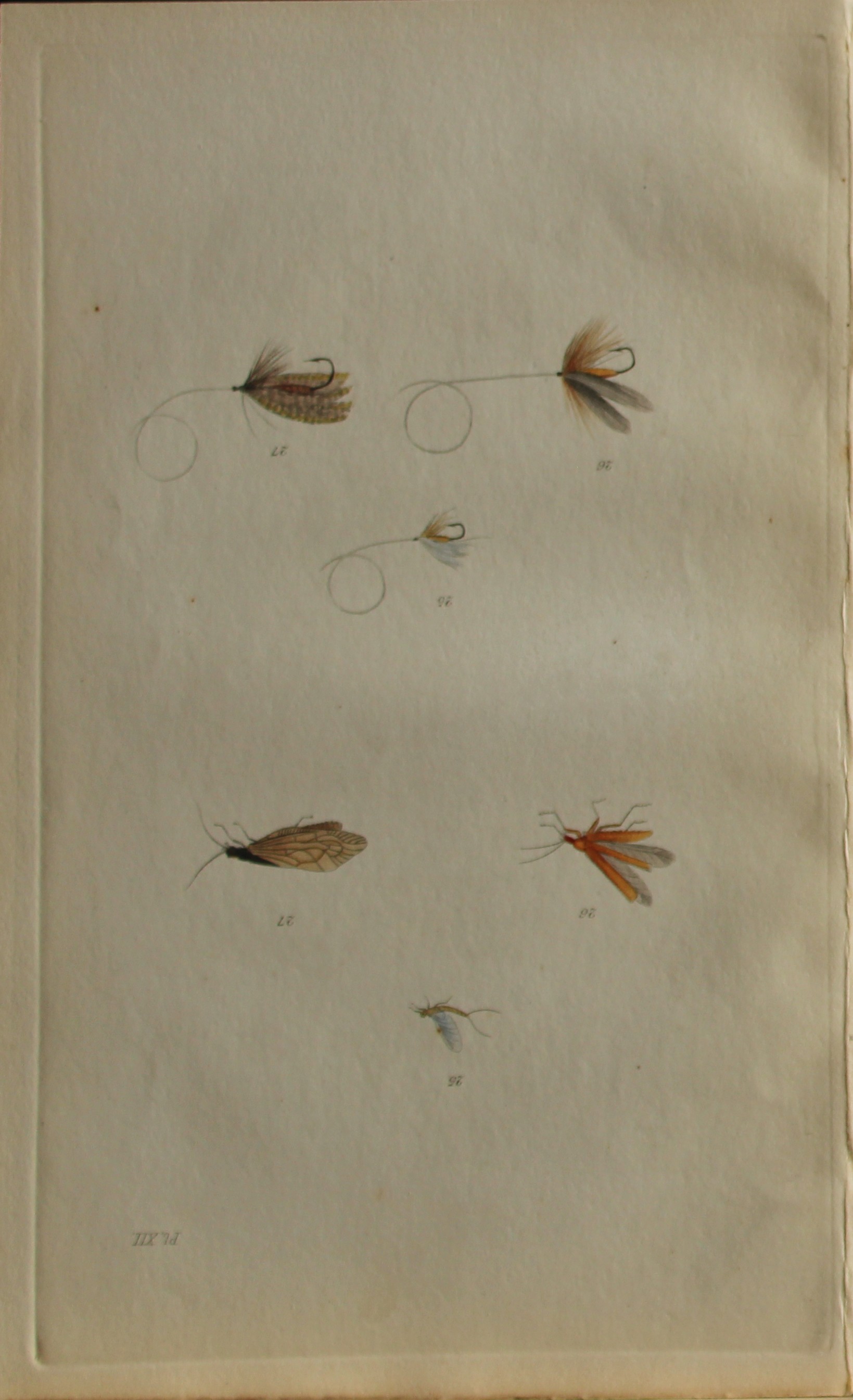 Alfred Ronald - Fly fishing engraving 1868