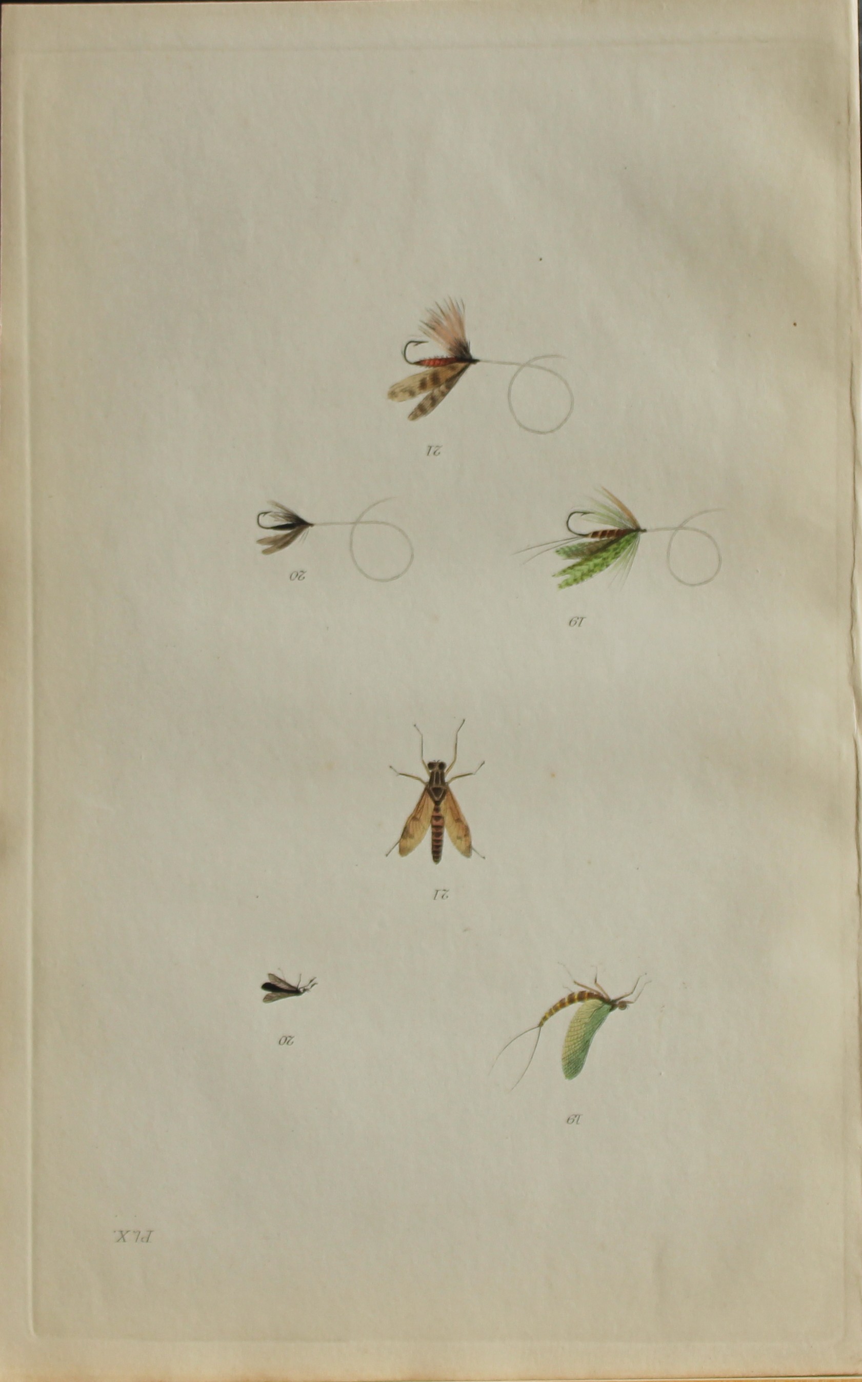 Alfred Ronald - Fly fishing engraving 1868