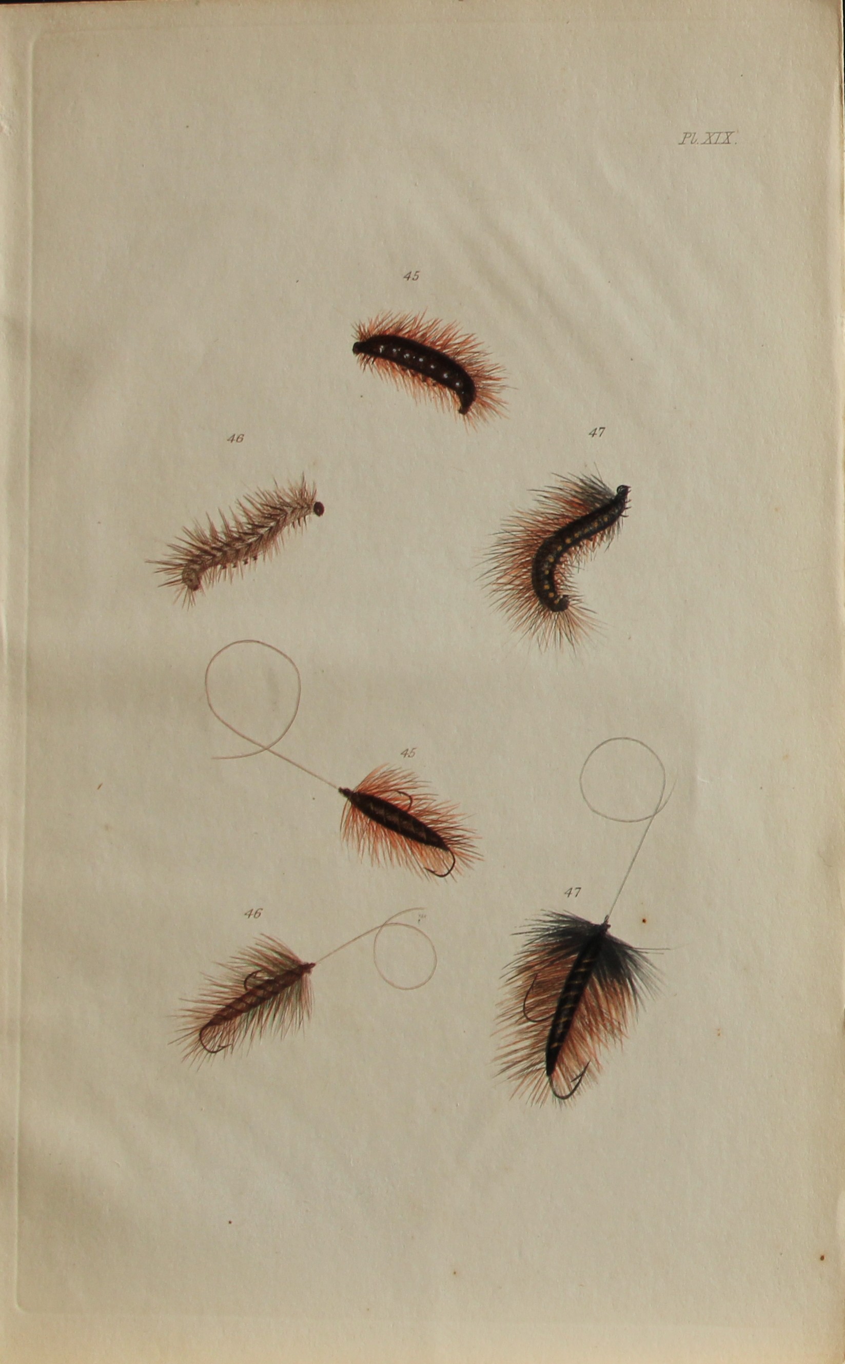 Alfred Ronald - Fly fishing engraving 1868