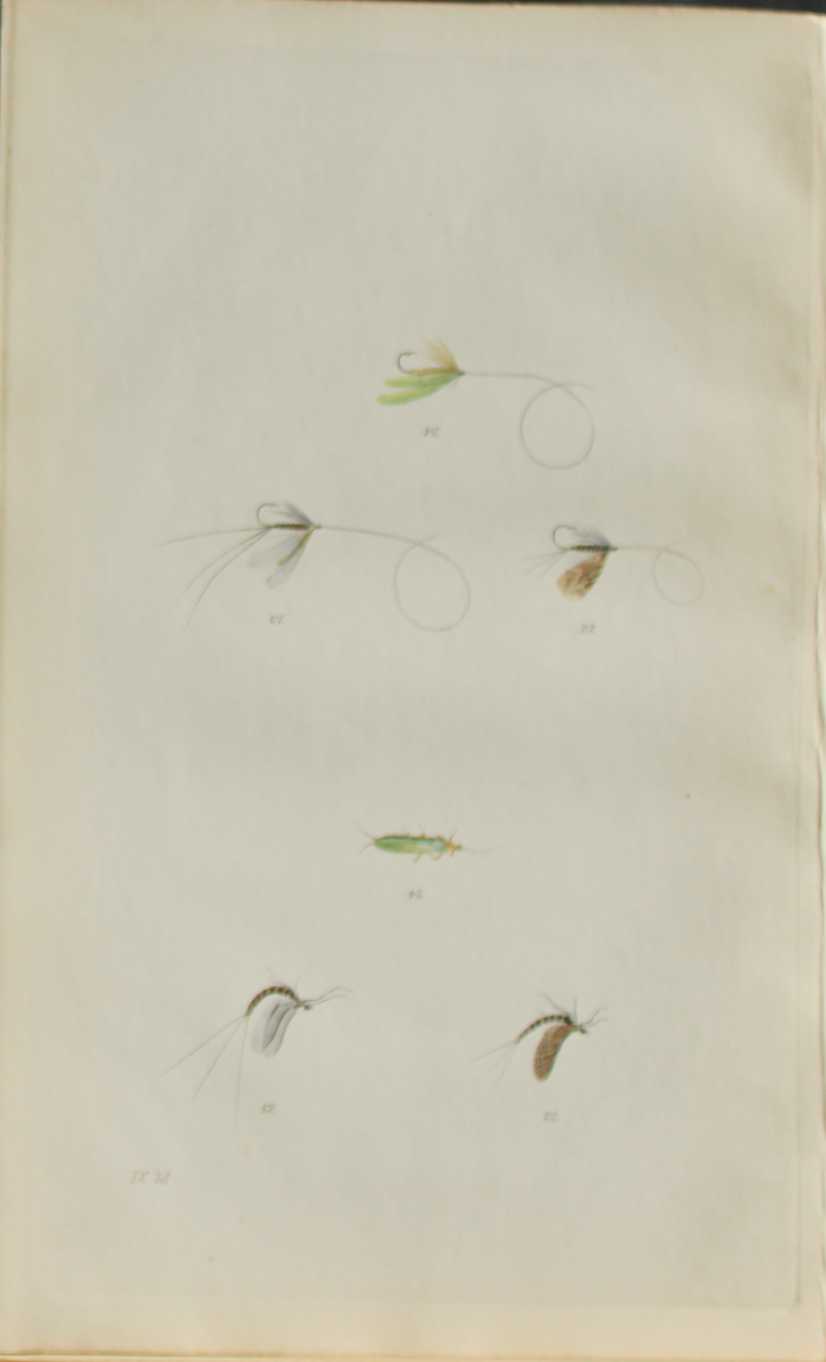 Alfred Ronald - Fly fishing engraving 1868