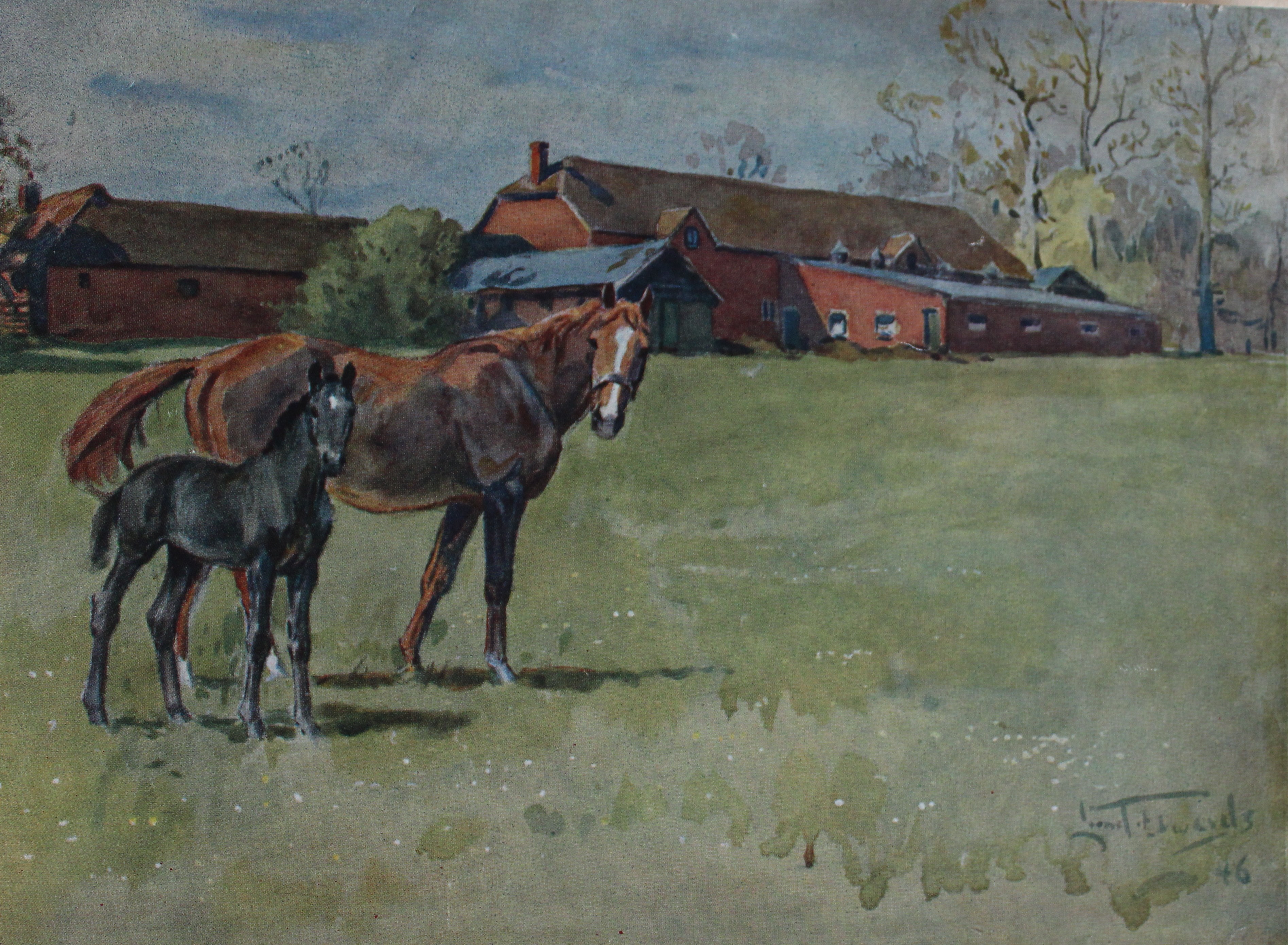 Lionel Edwards - Print from Black Beauty 1946