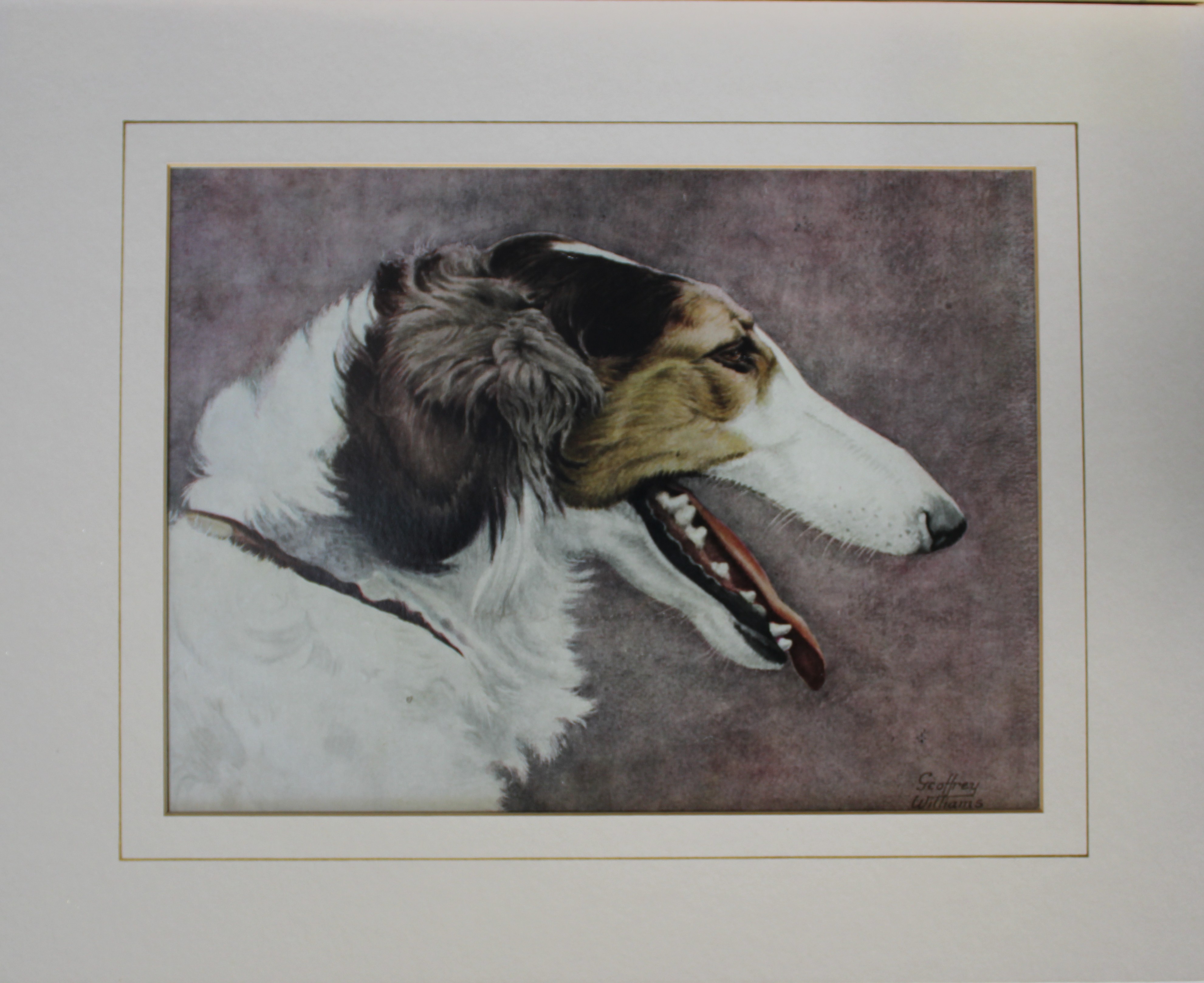 Geoffrey Williams - Borzoi c1930