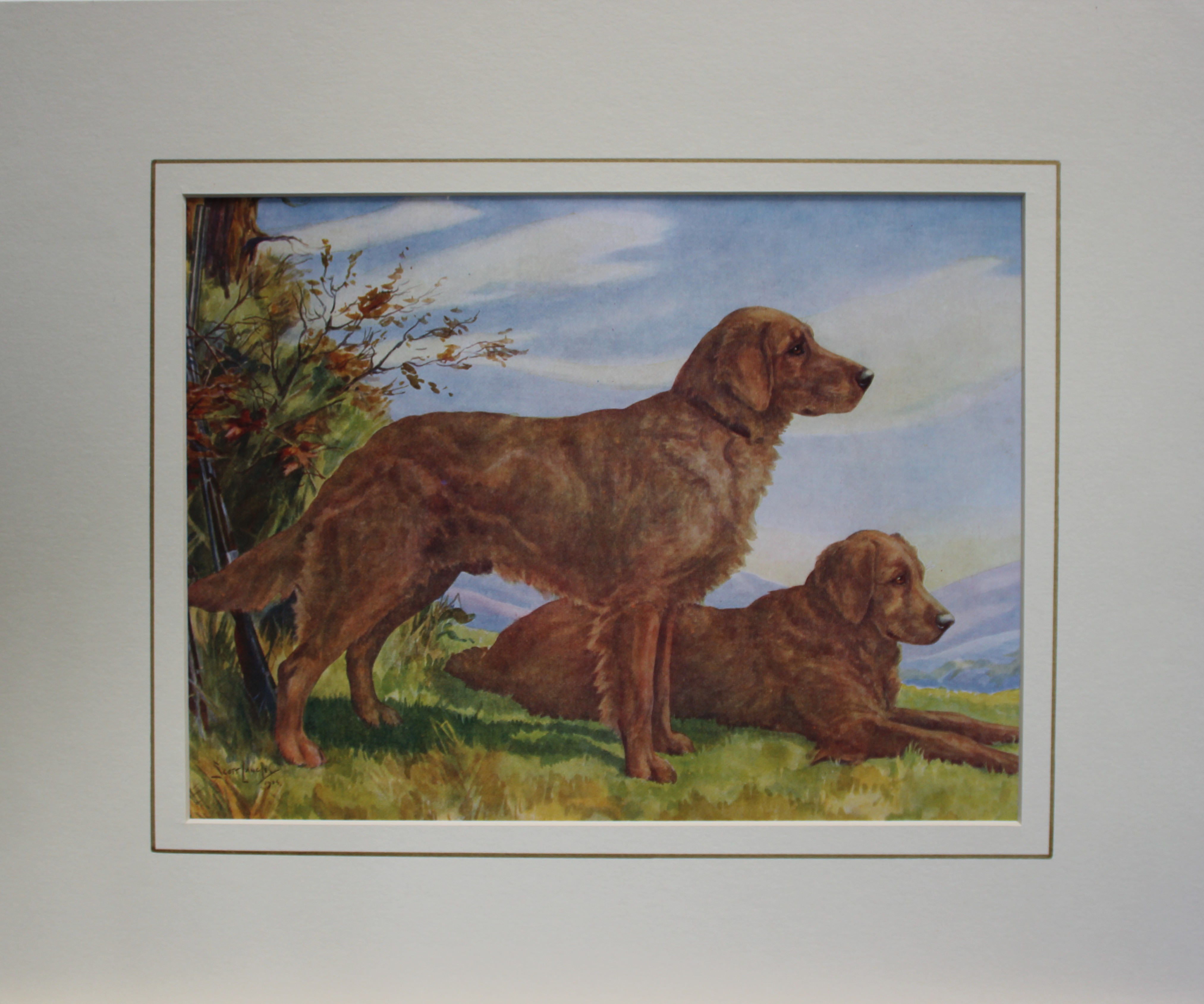 Nina Scott-Langley - Golden Retrievers 1934