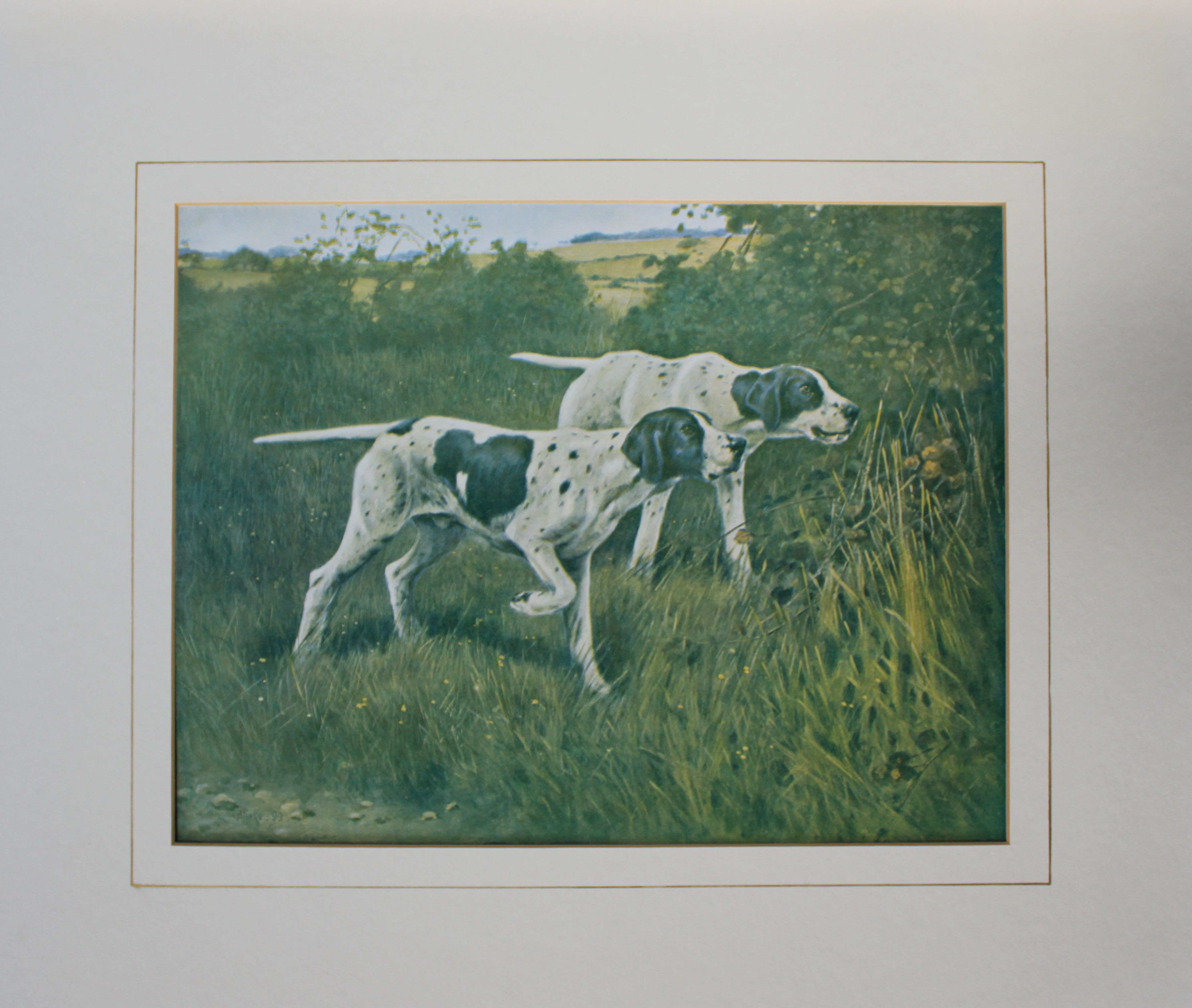 T Blinks - Pointers 1899