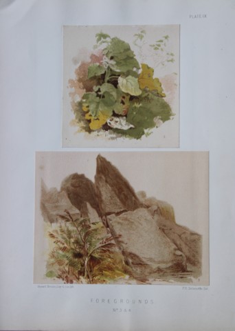 PH Delamotte - Chromolithograph of Foregrounds 1888