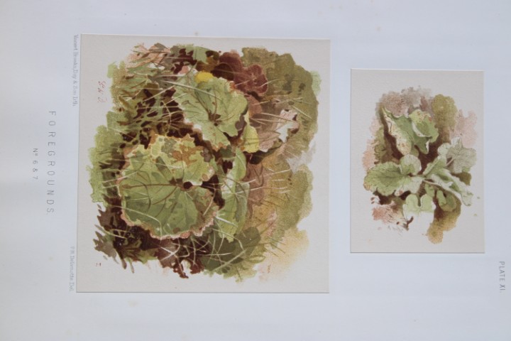 PH Delamotte - Chromolithograph of Foregrounds 1888