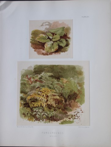 PH Delamotte - Chromolithograph of Foregrounds 1888