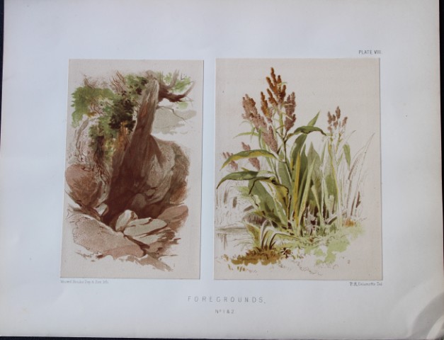 PH Delamotte - Chromolithograph of Foregrounds 1888