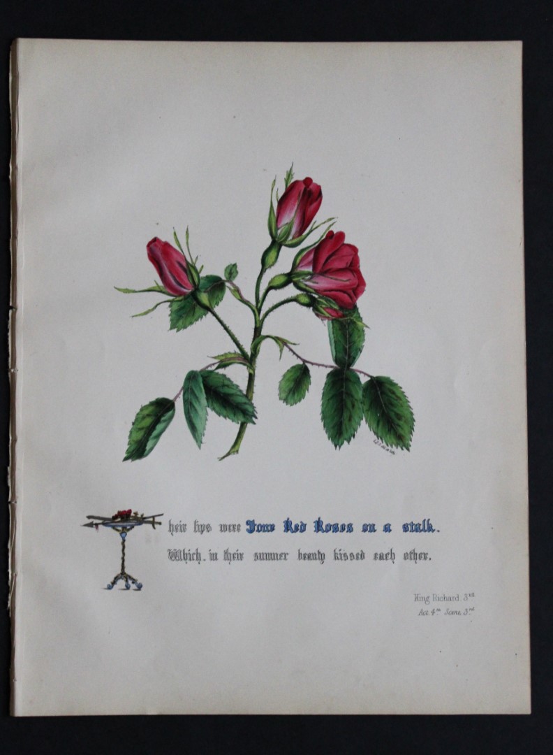 Jane E Giraud - Original lithograph from Flowers of Shakespeare 1845