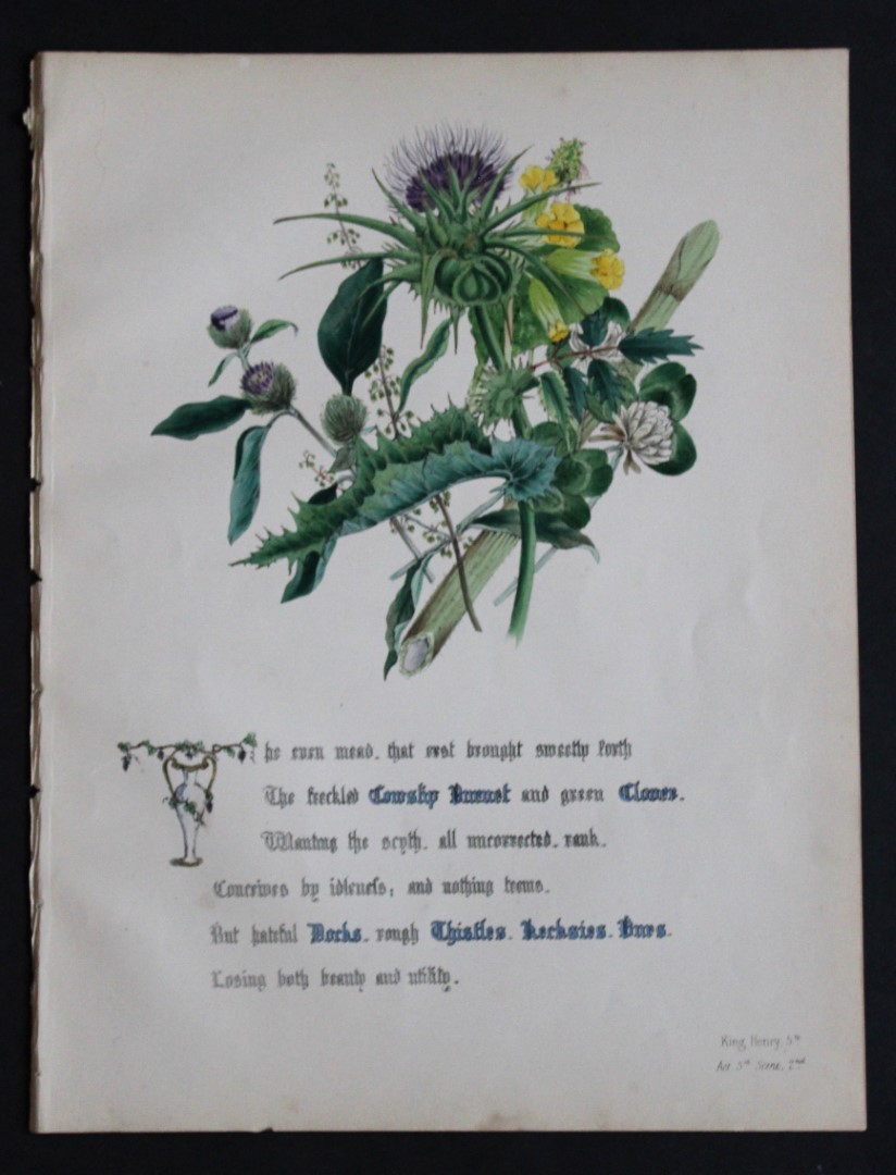 Jane E Giraud - Original lithograph from Flowers of Shakespeare 1845