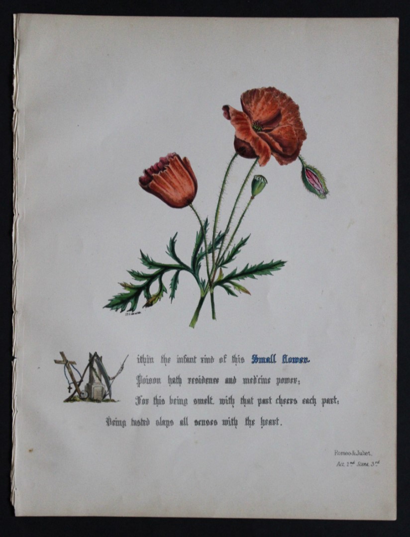 Jane E Giraud - Original lithograph from Flowers of Shakespeare 1845