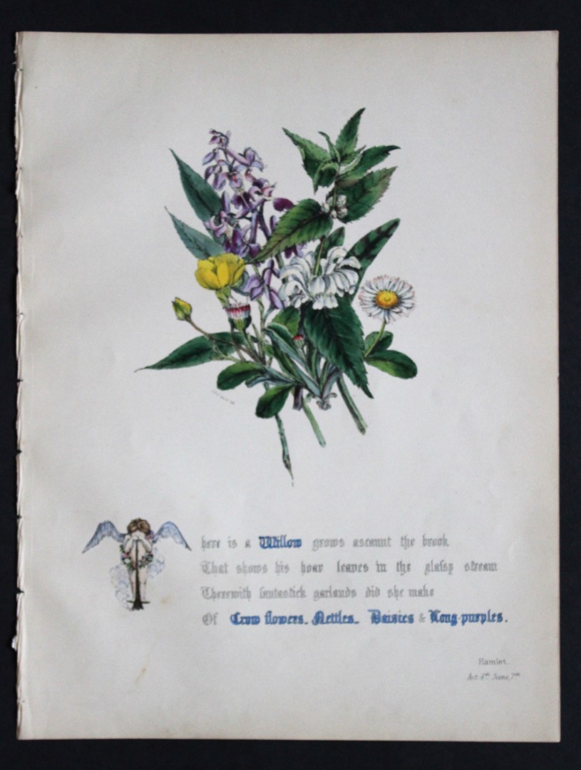 Jane E Giraud - Original lithograph from Flowers of Shakespeare 1845