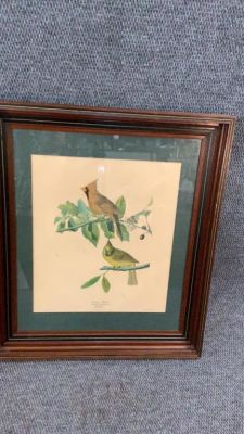 Audubon- Havell Edition Cardinal Grosbeak. Plate CLIX 15.5 x 18.5 sight...matted and framed...* 