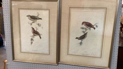 2 Ornithology Lithograph. Parrot Crossbill...J &amp; E Gould, printed by Hullmandell, hand 