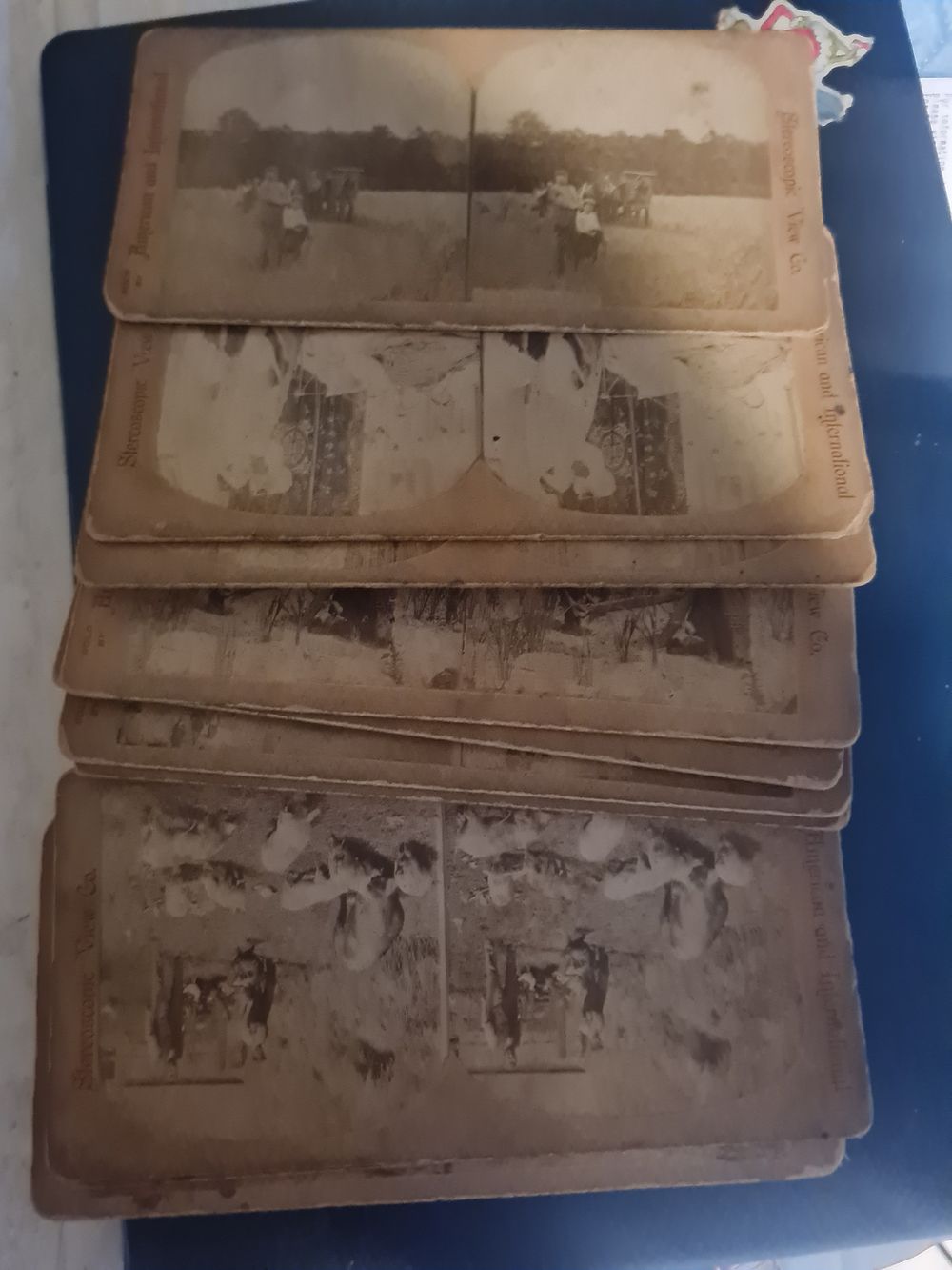 Lot 268: Vintage American & International stereoscopic cards