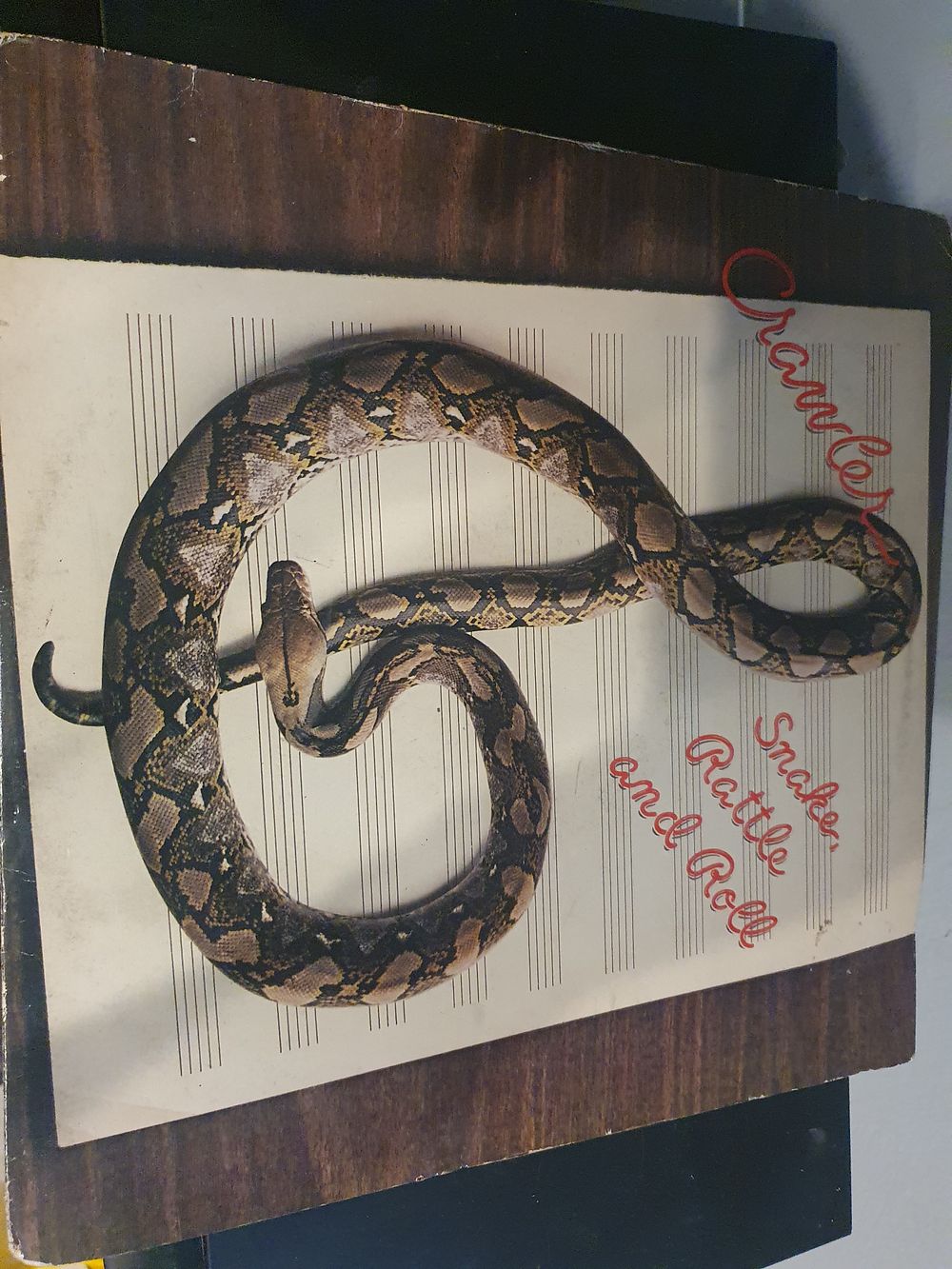 Lot 318: Snake rattle and roll vinyl
