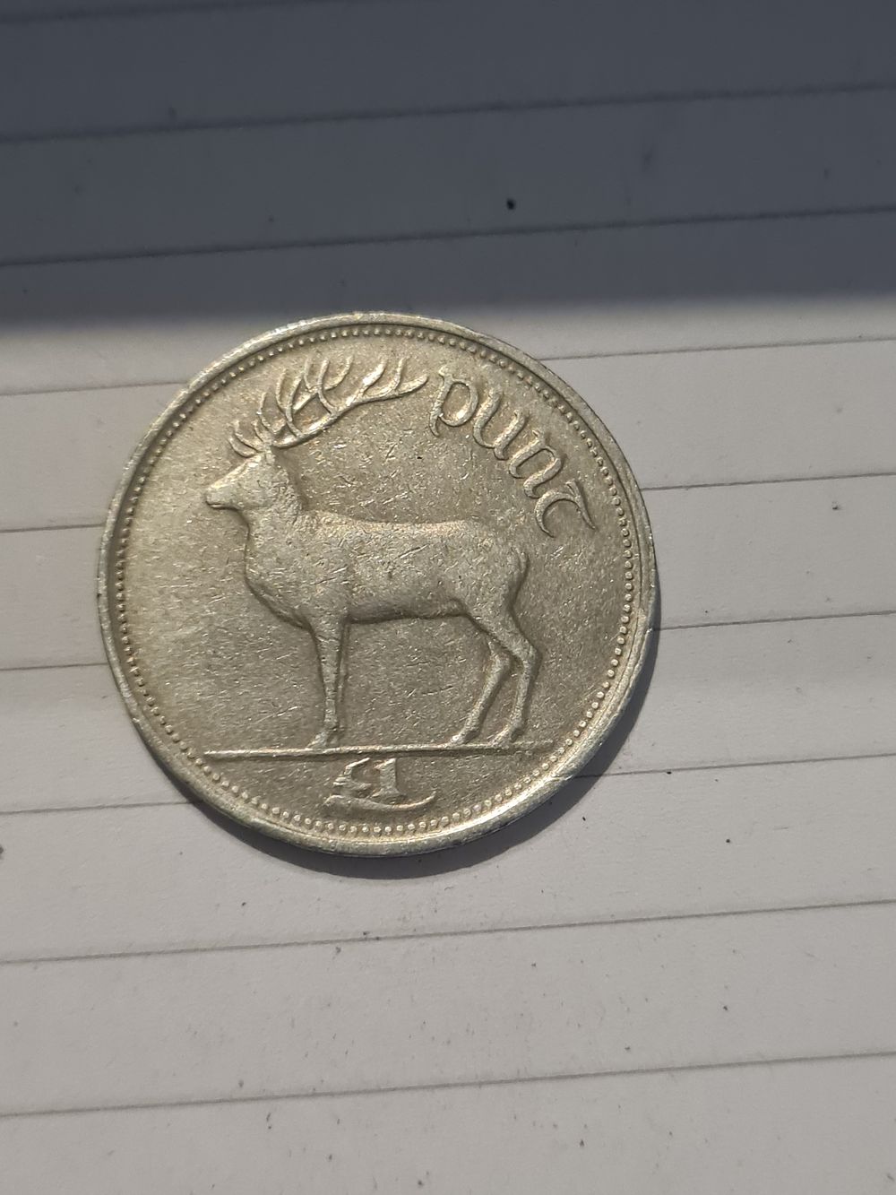 Lot 451: Old irish punt