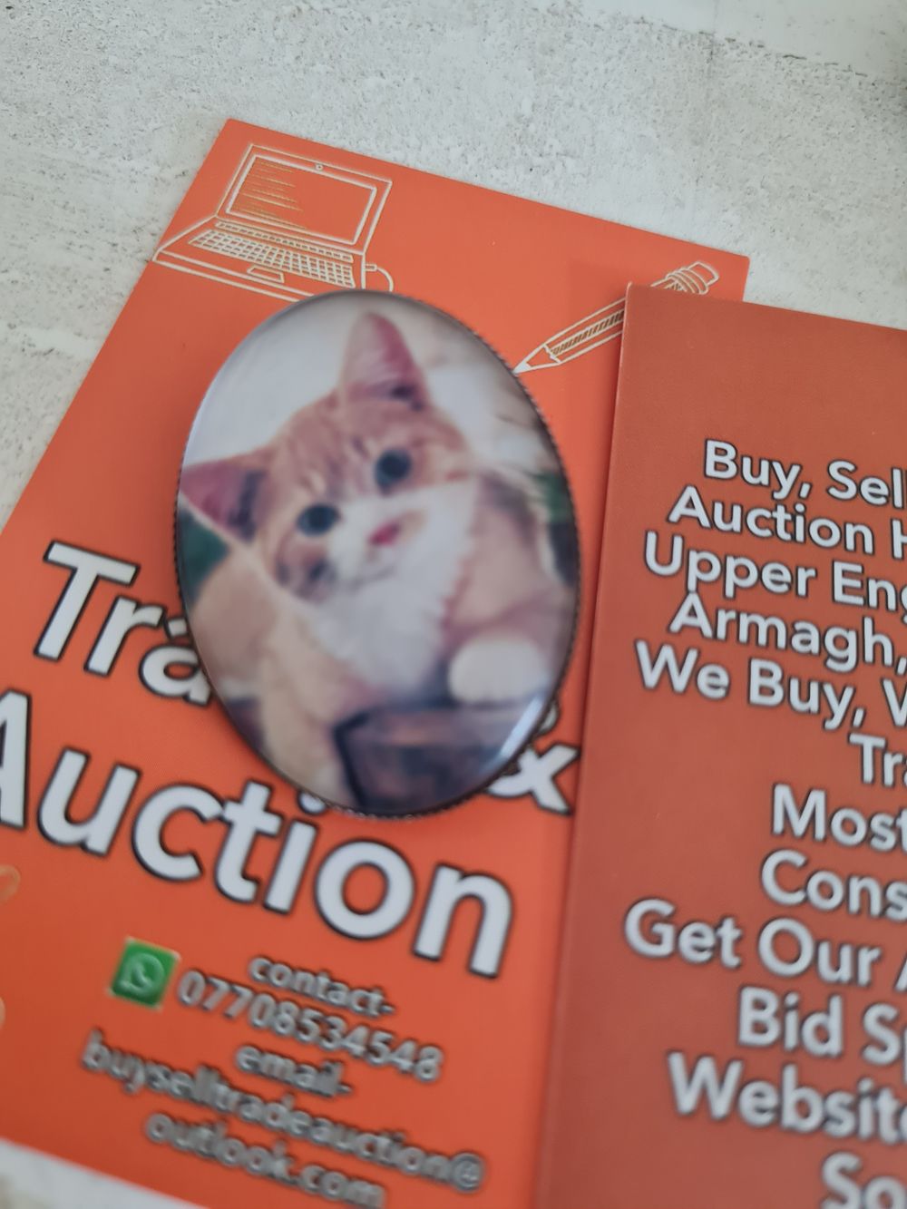 Lot 10a: Cat brooch