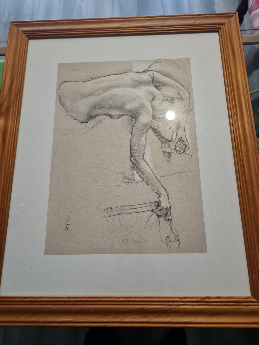 Lot 210: Large van hove picture