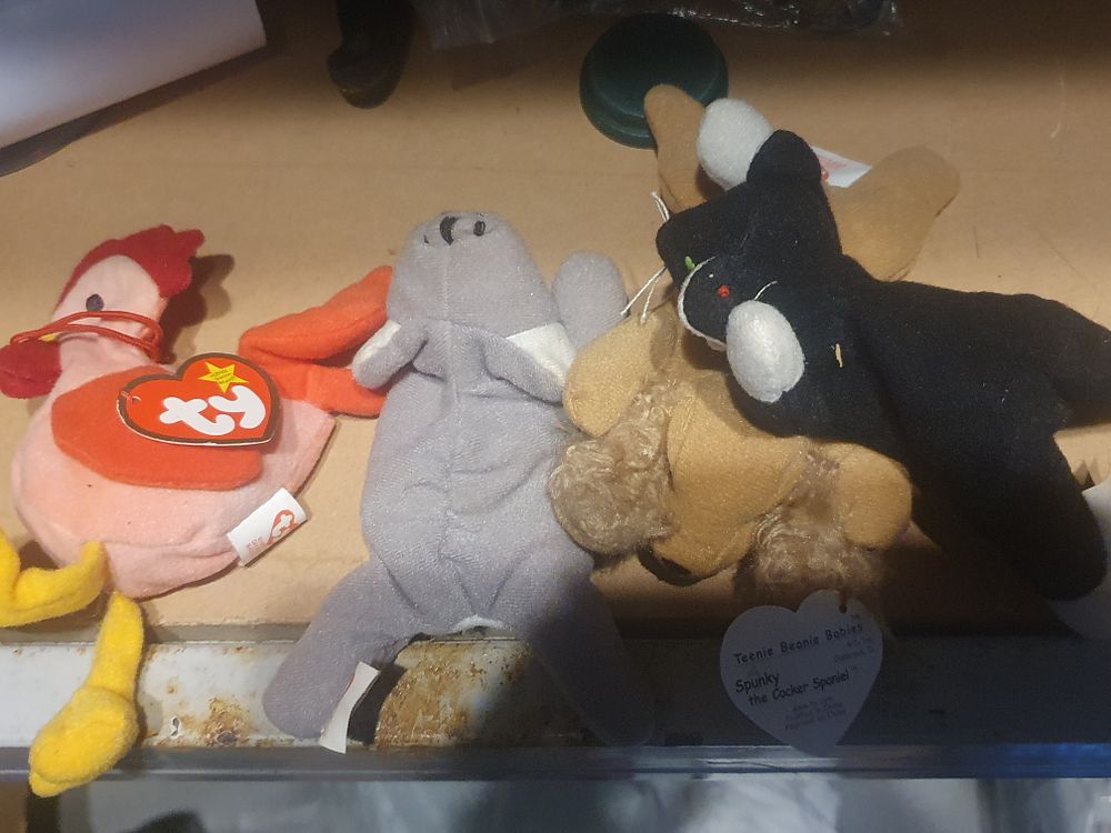 Lot 326: Ty teddy lot