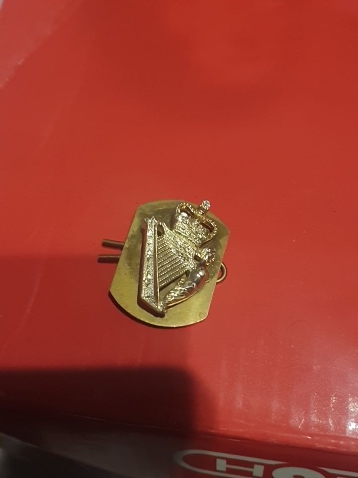 Lot 379: Royal Irish regiment badge