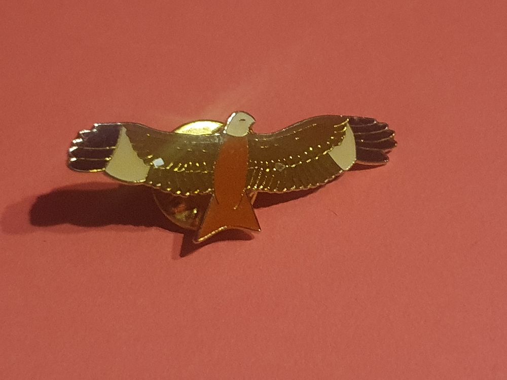 Lot 188d: Eagle pin badge