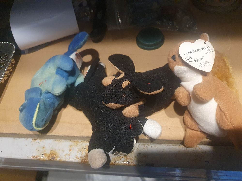 Lot 153: Ty teddy lot