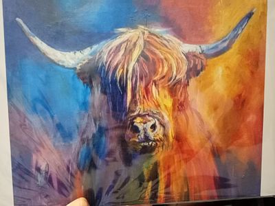 Highland cow High Gloss Print With Cardboard Backing sleeve