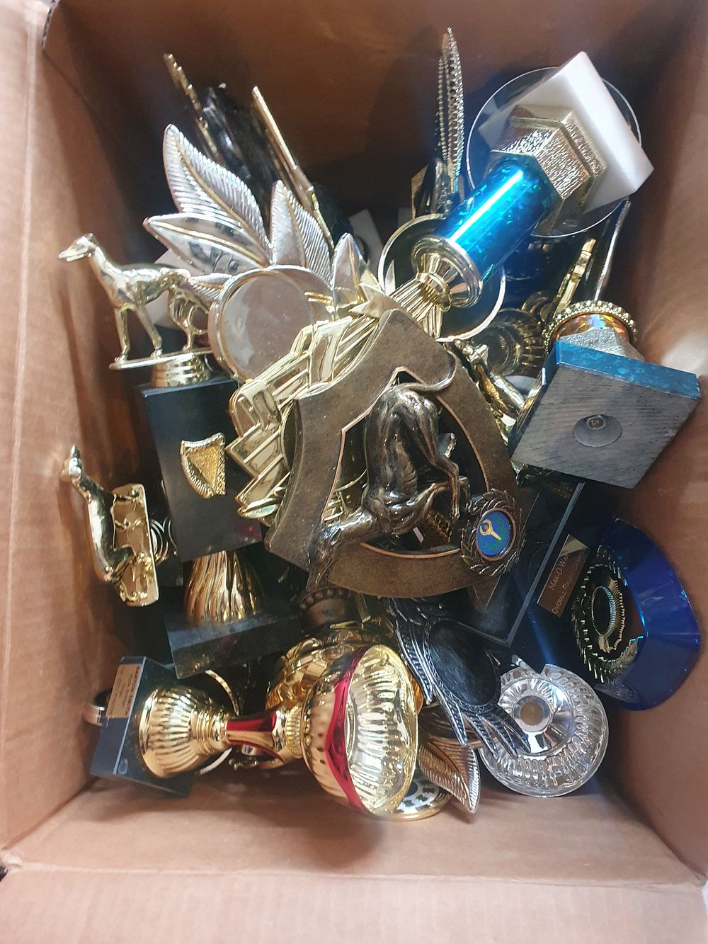 Lot 458: Huge lot of greyhound thropies
