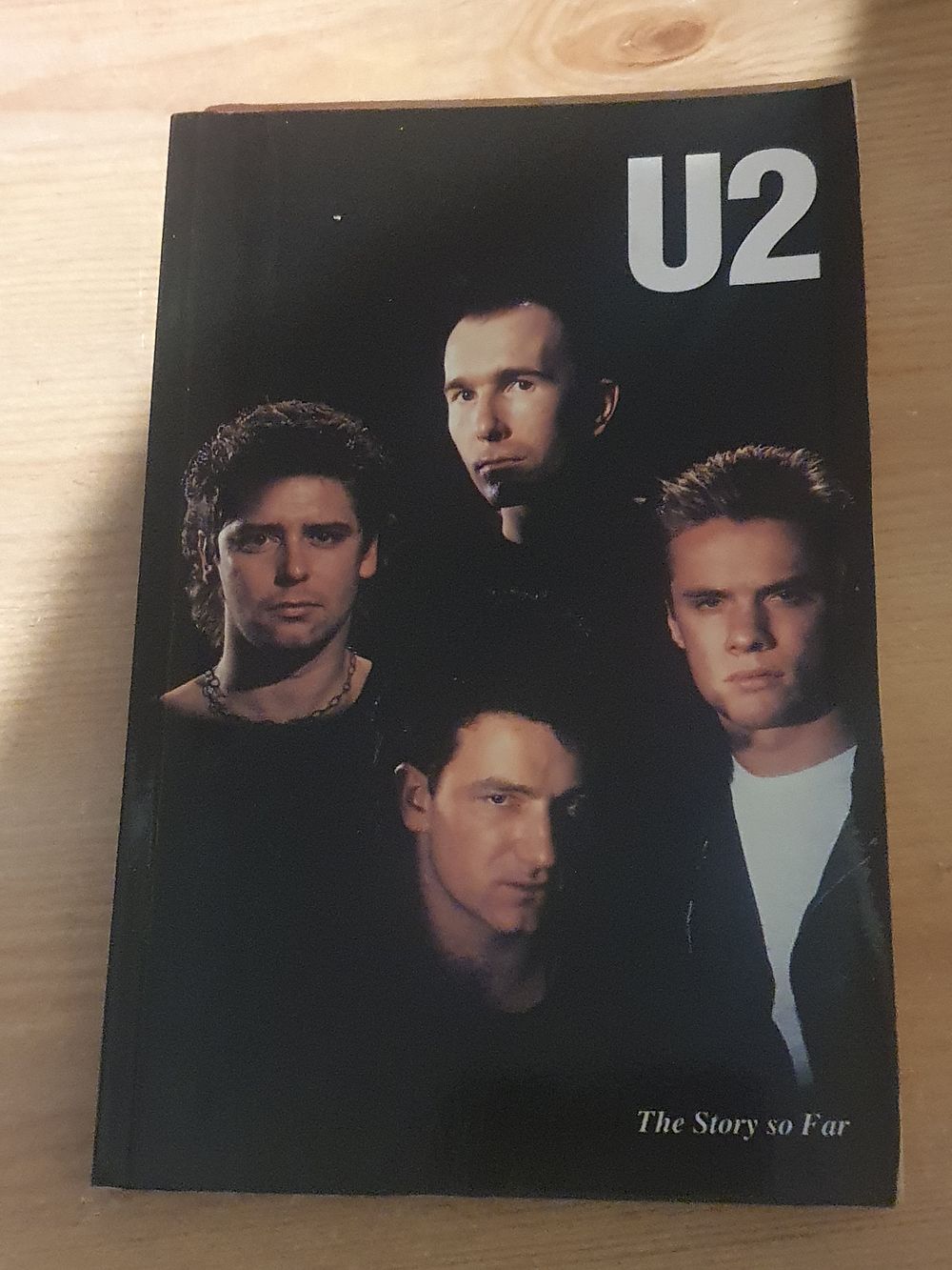 Lot 110: U2 story so far