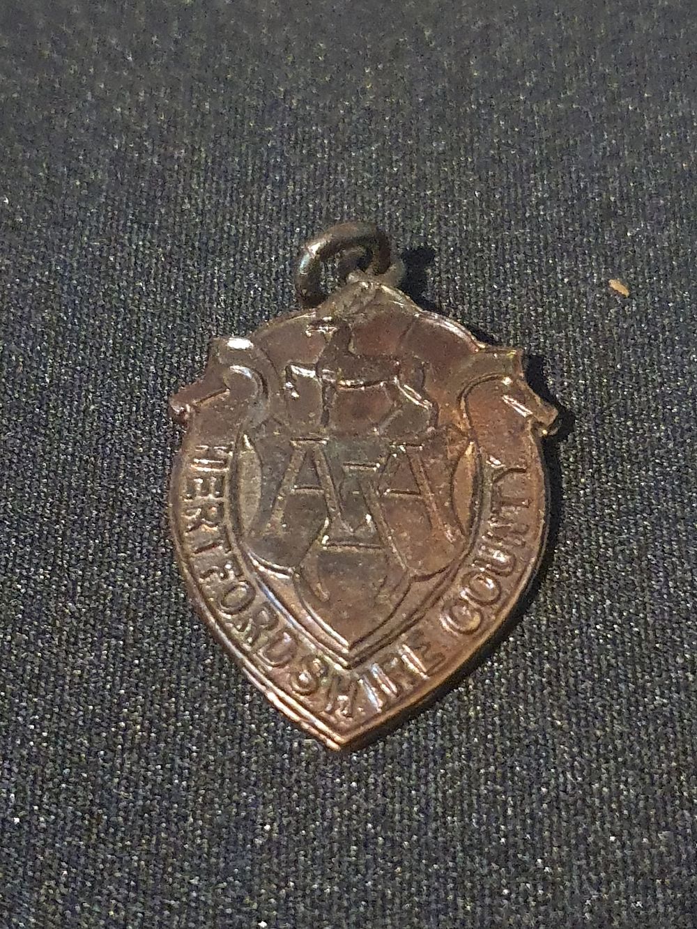 Lot 245: 1965 medal