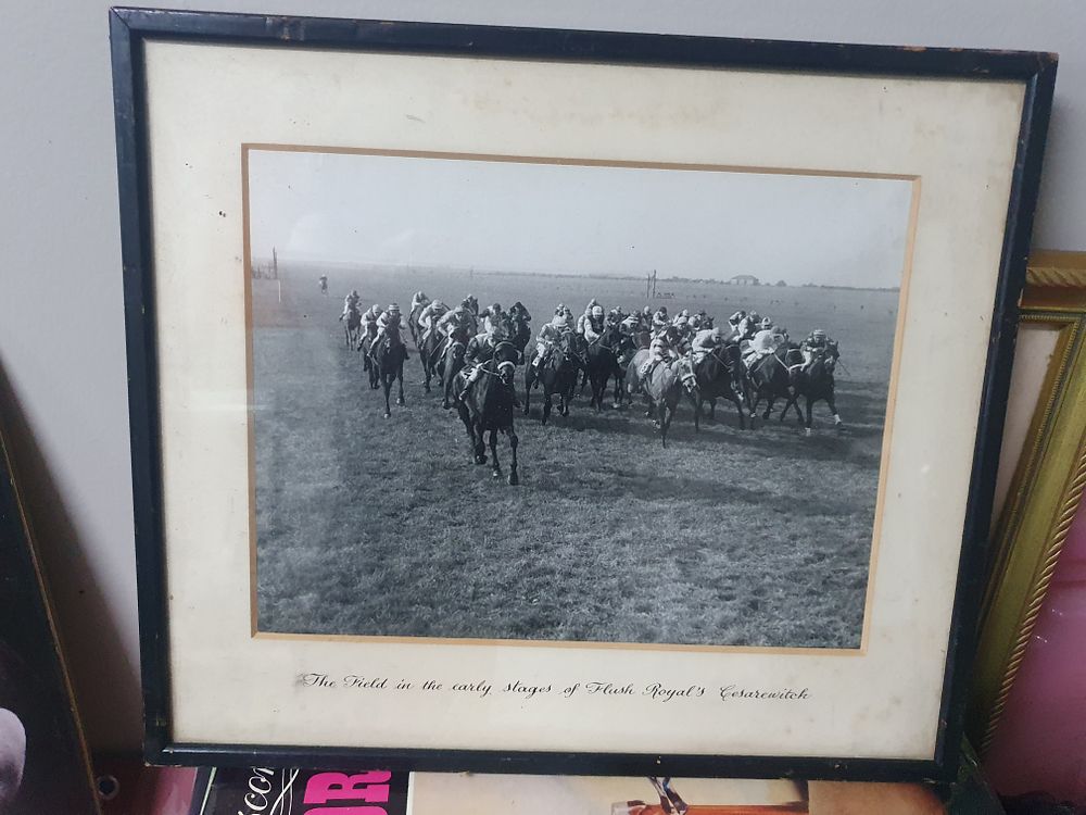 Lot 199z: Vintage horse picture flush royals