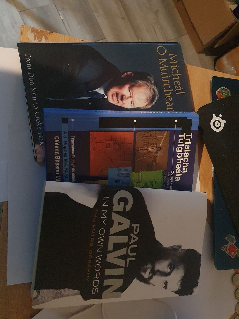 Lot 253: 3 irish books