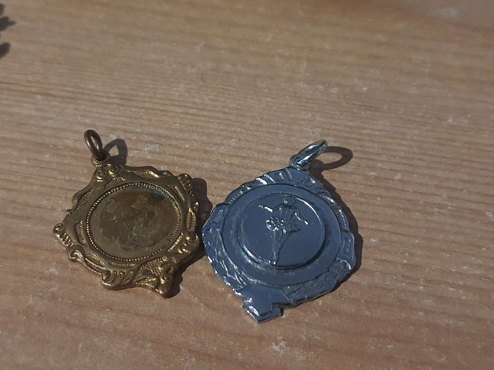 Lot 272: 2 irish medals