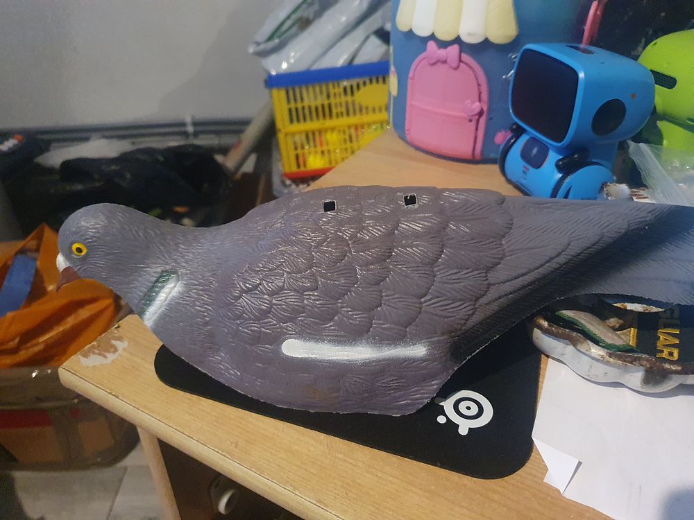 Lot 218: Decoy bird