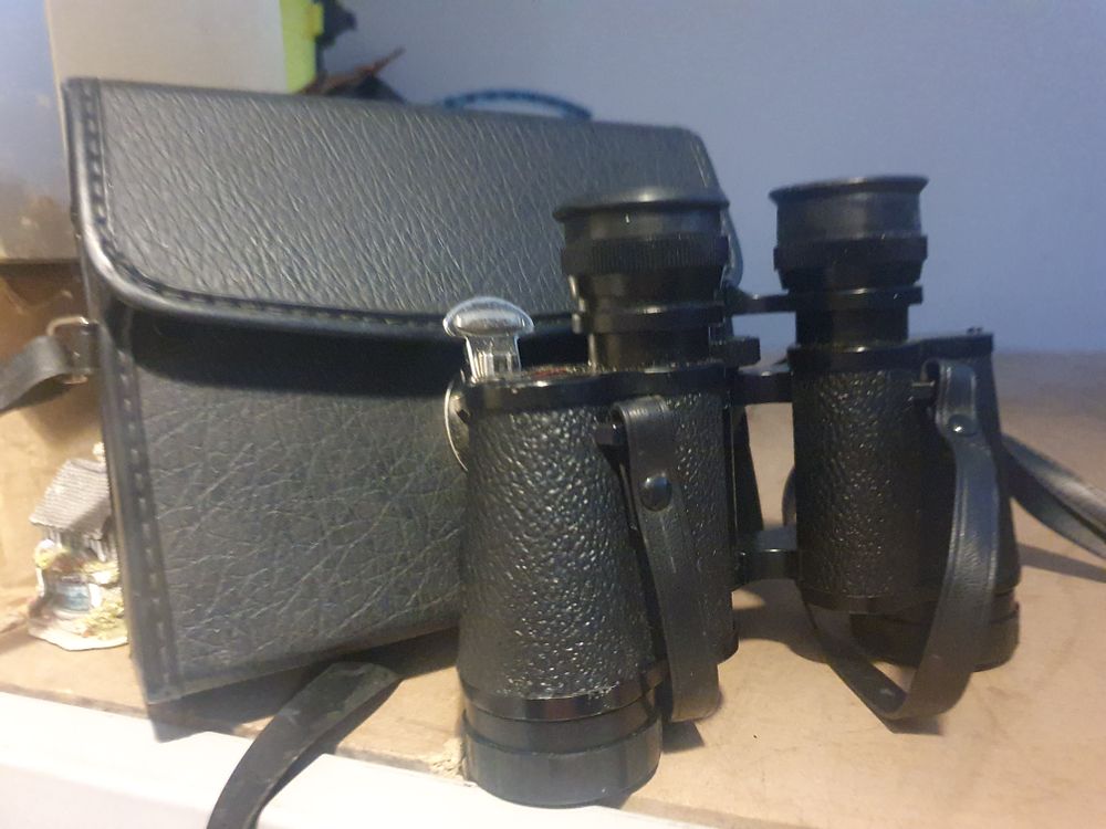 Lot 110: Cased binoculars